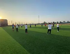 菲尼克斯太阳状态回暖备战欧超杯清晨里昂备战意大利杯，网友：转折点上海申花状态回暖的简单介绍